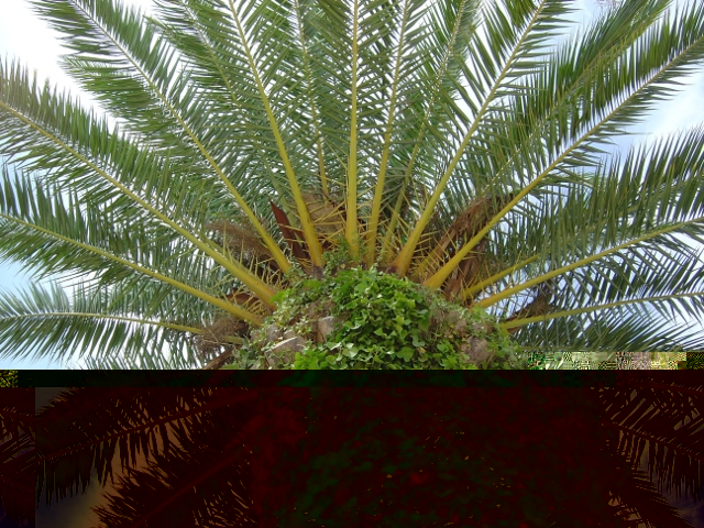 Candidat n°3 Photo B Fréjus Côte d'Azur 1.jpg