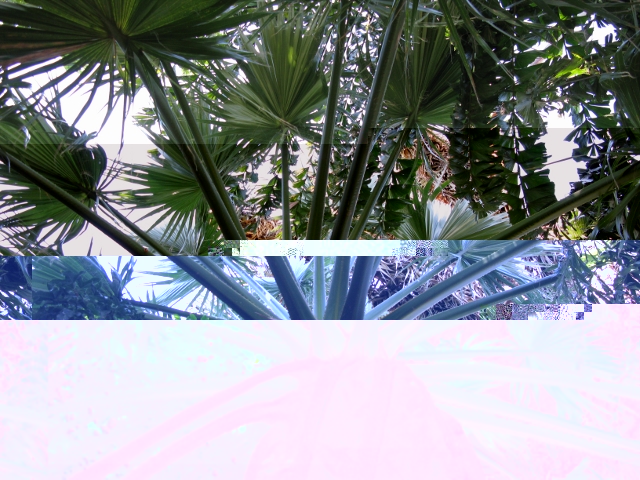 Candidat n°7 Photo A.JPG