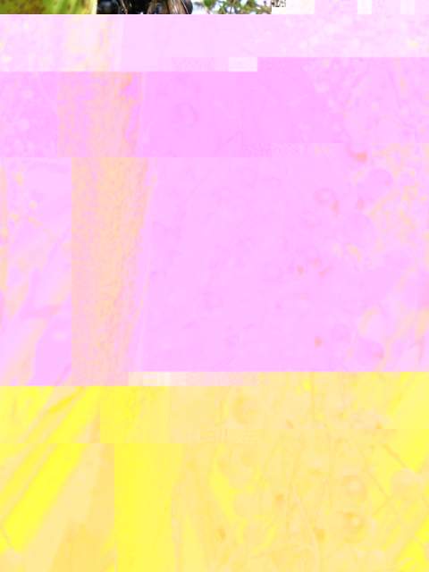 Candidat n°7 Photo C.JPG