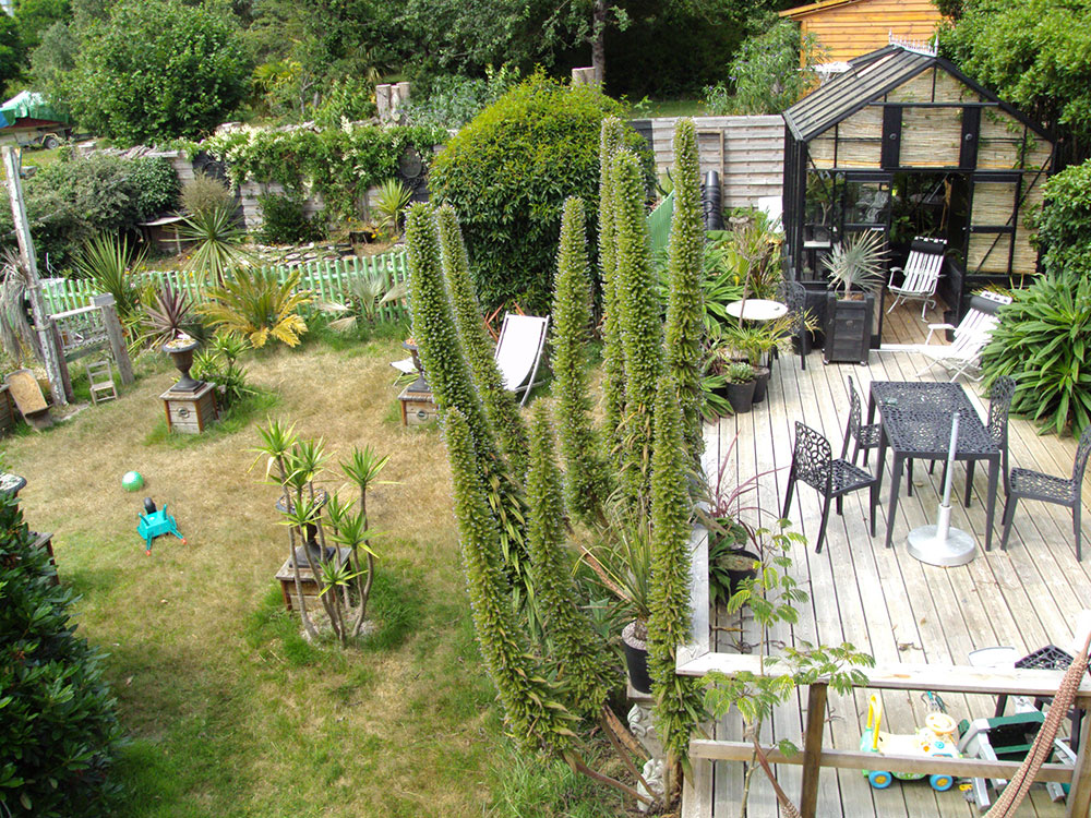 Une photo des lieux du crimes, même si je suis pas sur que le crime soit encore vraiment commis XD