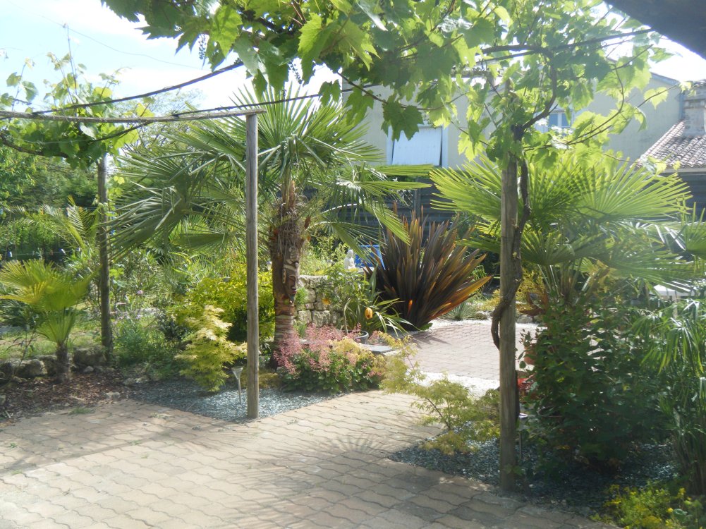 DSCF2727.JPG