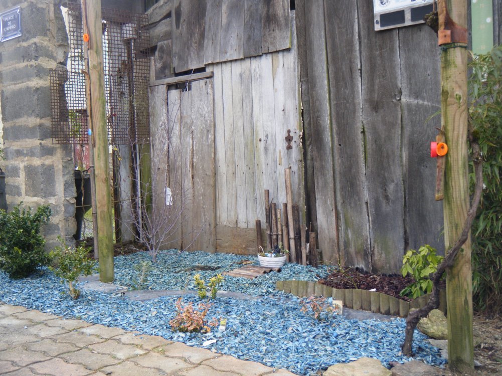 dscf4296.jpg