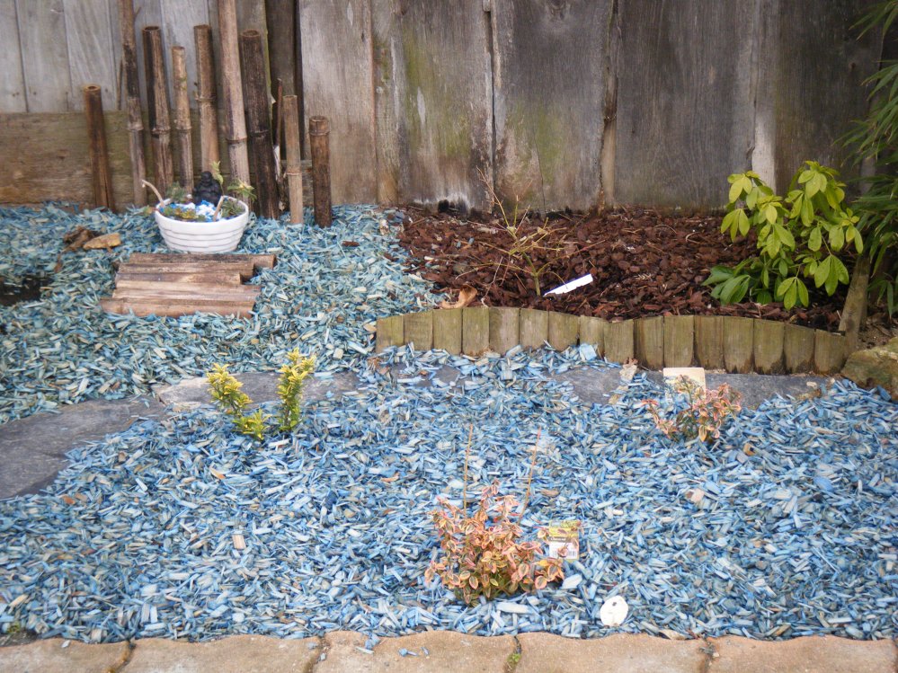 dscf4295.jpg