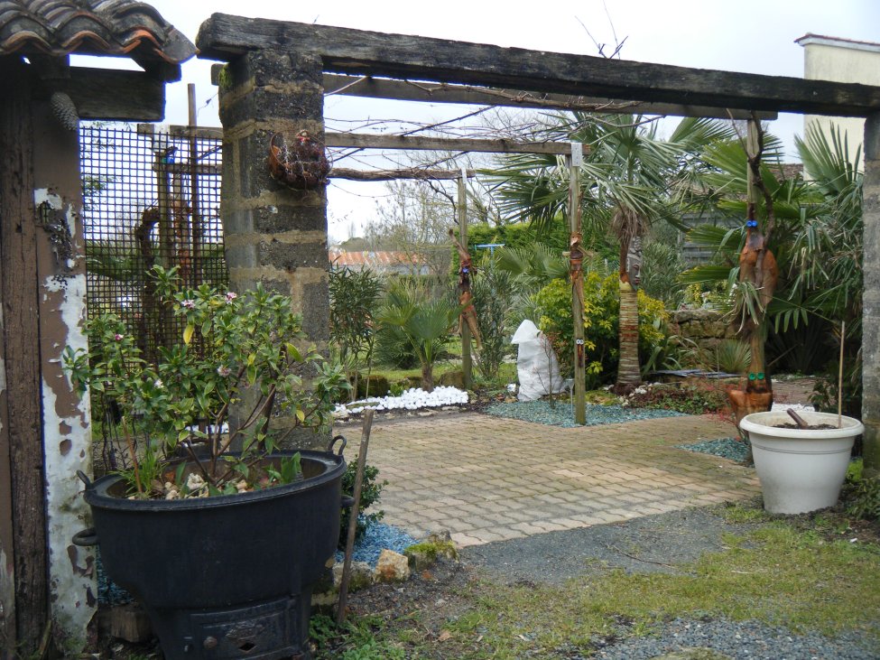 dscf4298.jpg