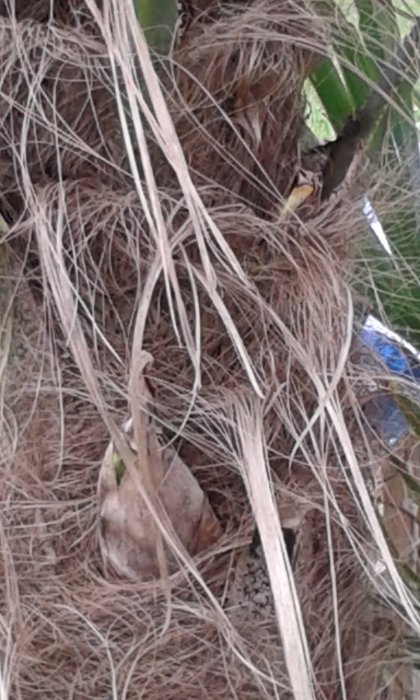 20160311_151738.jpg