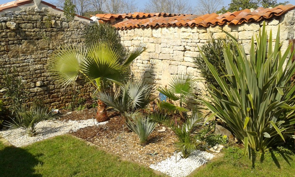 20160315_131009.jpg