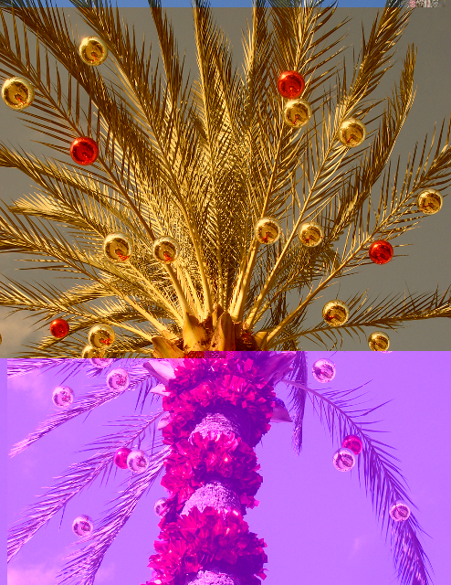 Candidat n°20 Photo A.jpg