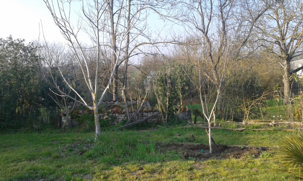 20160318_175017.jpg