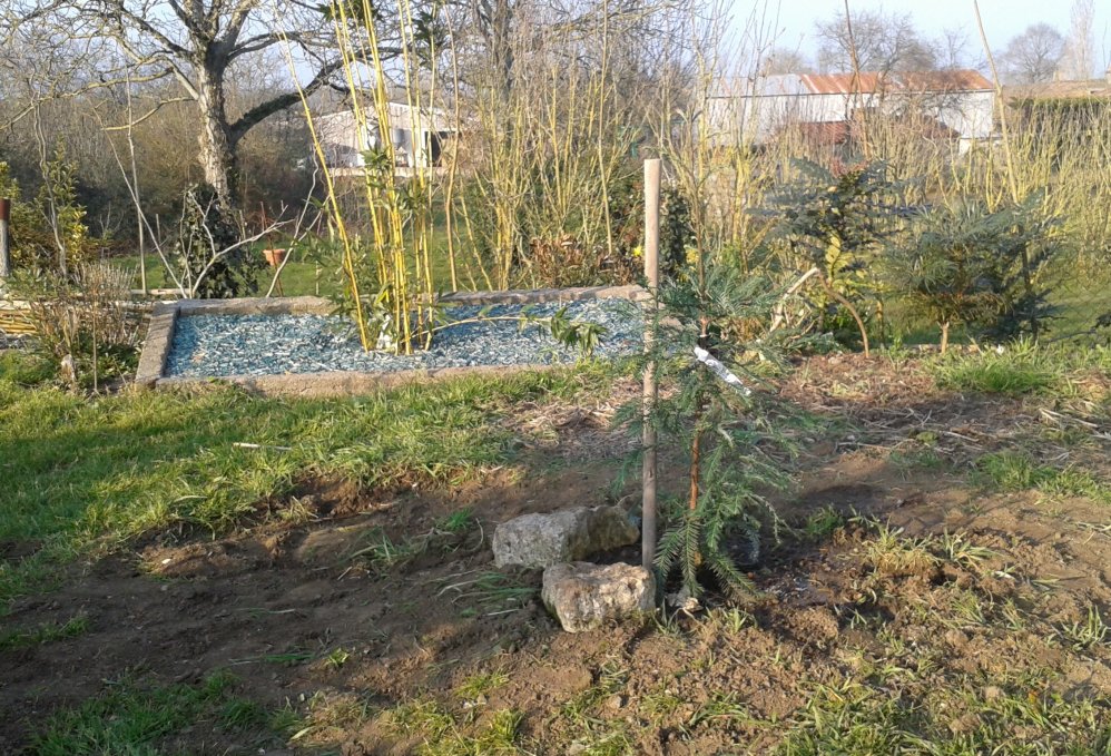 20160318_174926.jpg