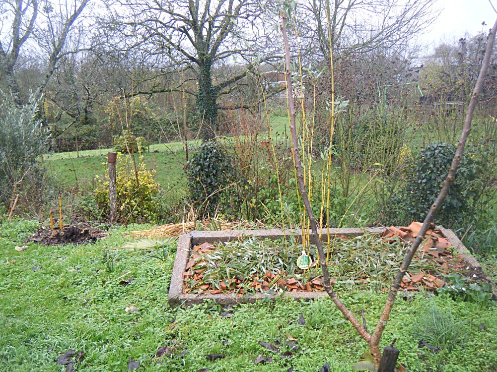 DSCF1072.JPG