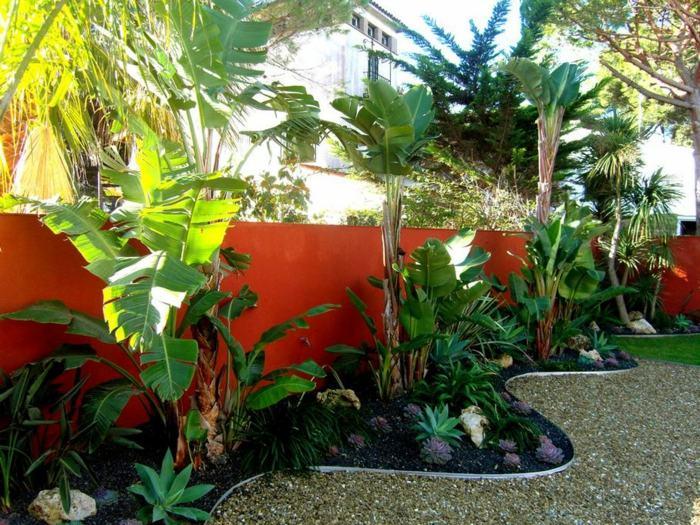 aménagement-jardin-bananier-plantes-exotiques.jpg
