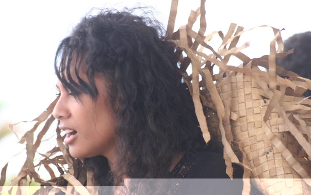 Candidat n°22 Photo C utilisation des palmes.JPG