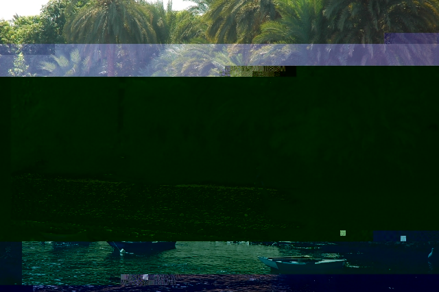 Candidat n°25 Photo B.jpg