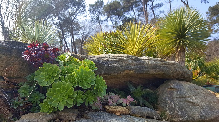 jardin20161.jpg