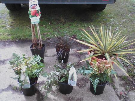 Mes cadeaux d'annif