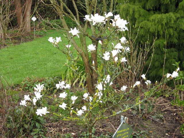 Photo 1071.jpg