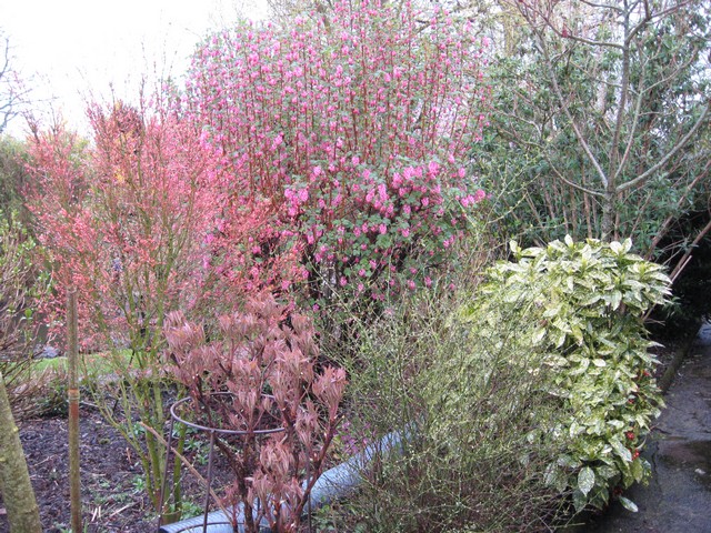 Photo 1072.jpg