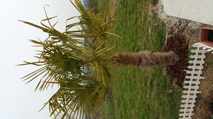 photo modifié.jpg