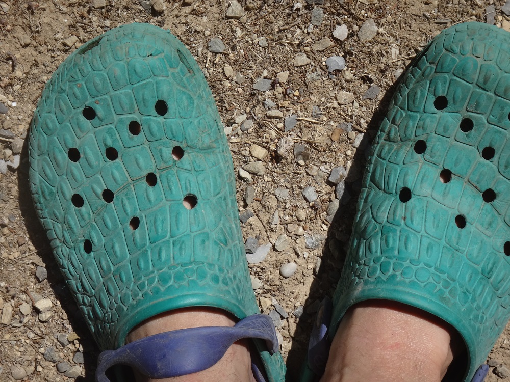 Pompes en croco.JPG