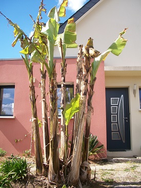 100_6324.JPG