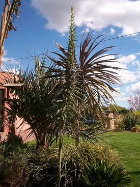 100_6321.JPG