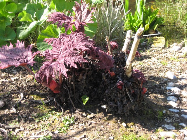 Photo 1085.jpg
