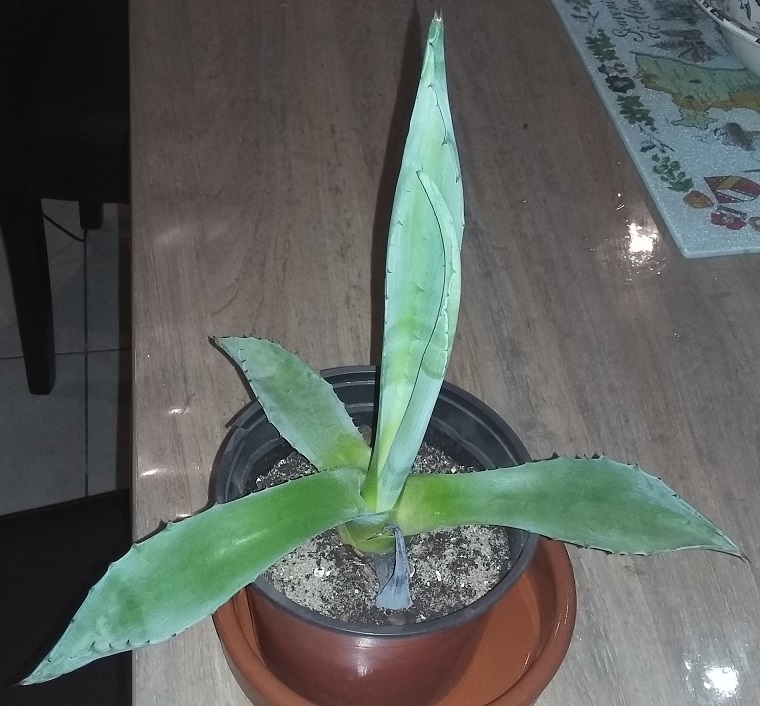 20160430_231356 - Copie.jpg