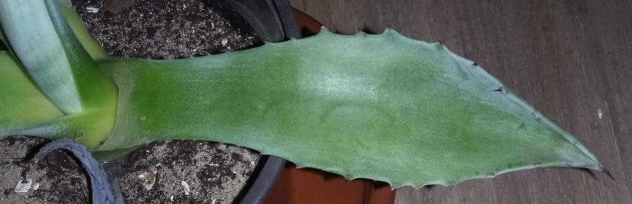 20160430_231410 - Copie.jpg