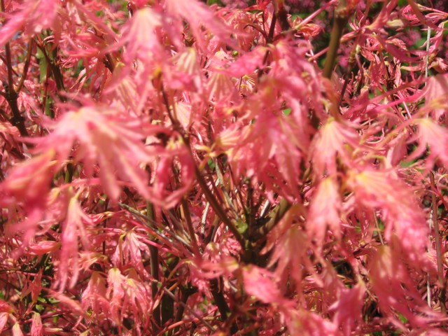 Photo 1103.jpg