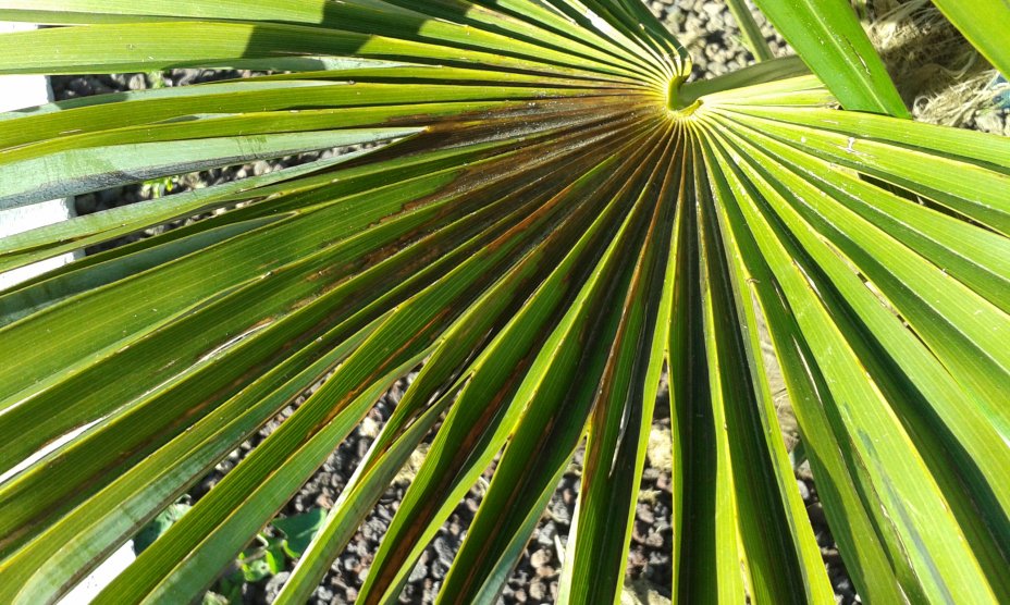 20160501_185228.jpg