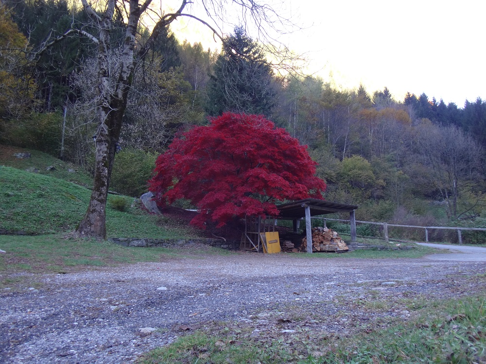 Acer, certes, mais lequel?