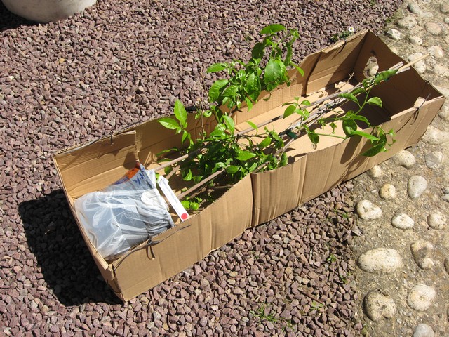 Photo 1104.jpg