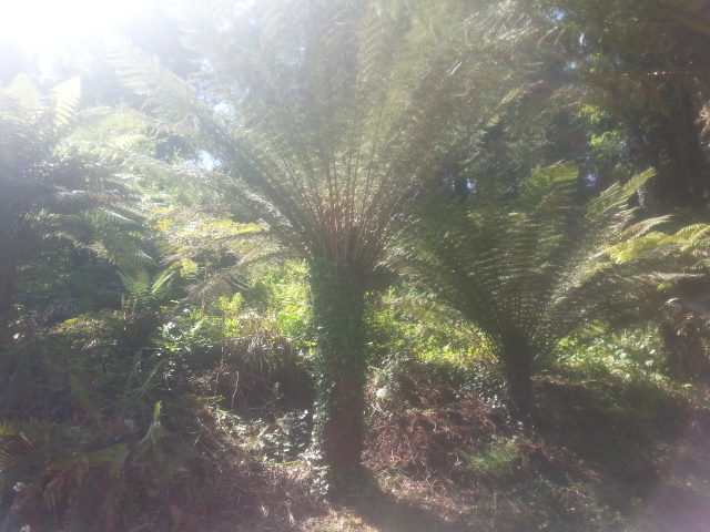 20160504_141718.jpg