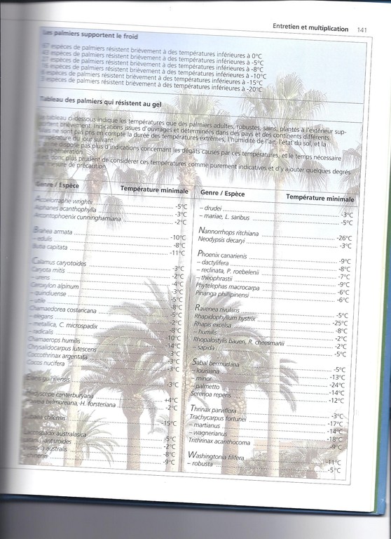 TABLEAU PALMS.jpg