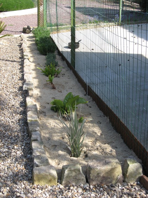 lavande, graminée, arôme et crinum powelli