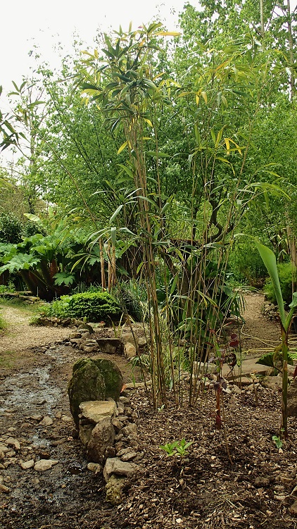 P5080737.JPG