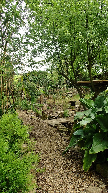 P5080741.JPG