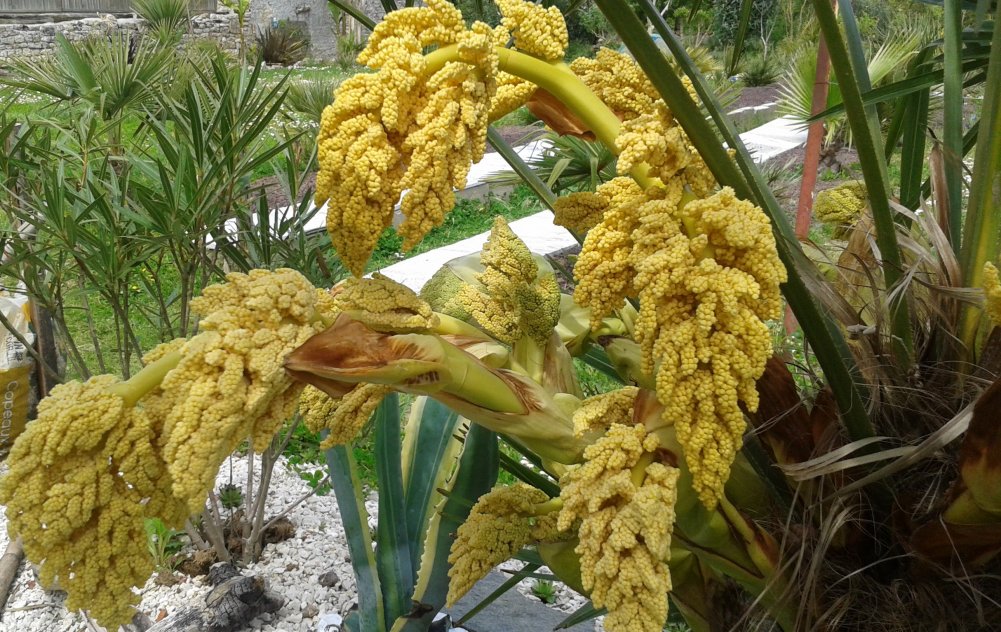 20160508_135348.jpg