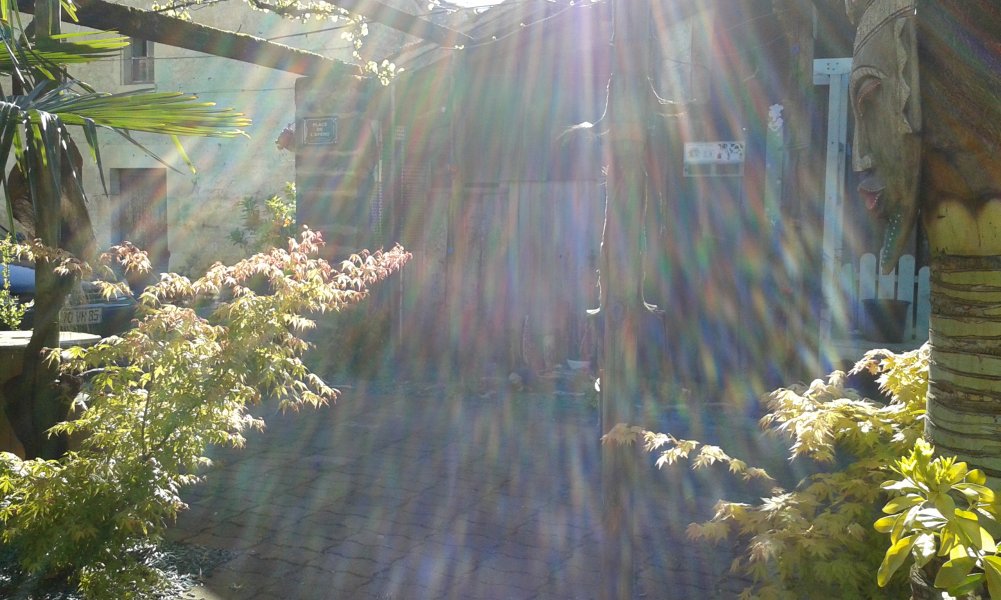 20160501_182100.jpg