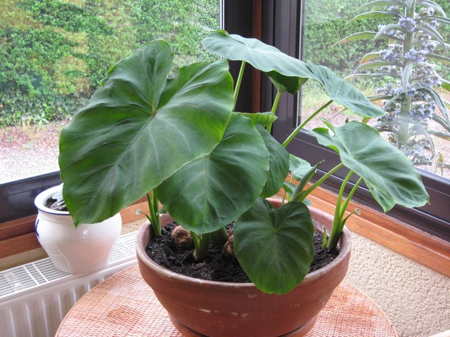 Photo 1111.jpg