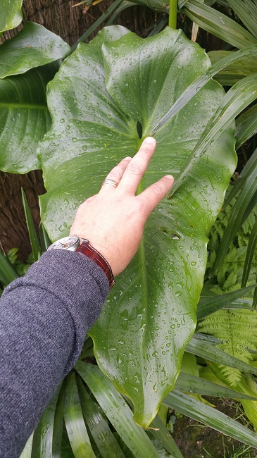 20160510_101101.jpg