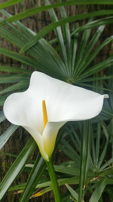 20160510_100628.jpg