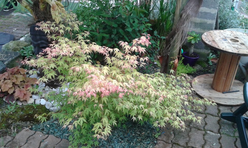20160511_181446.jpg