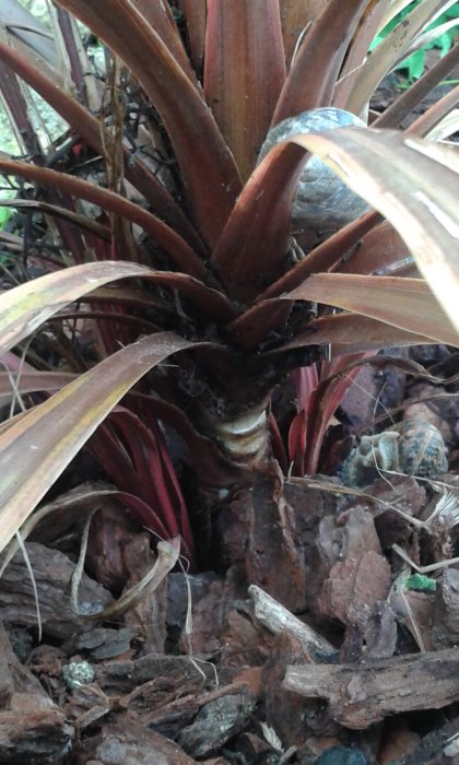 20160511_180344.jpg