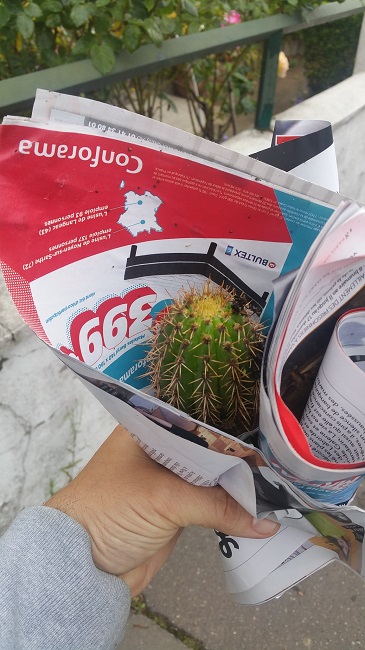 20160513_100041.jpg