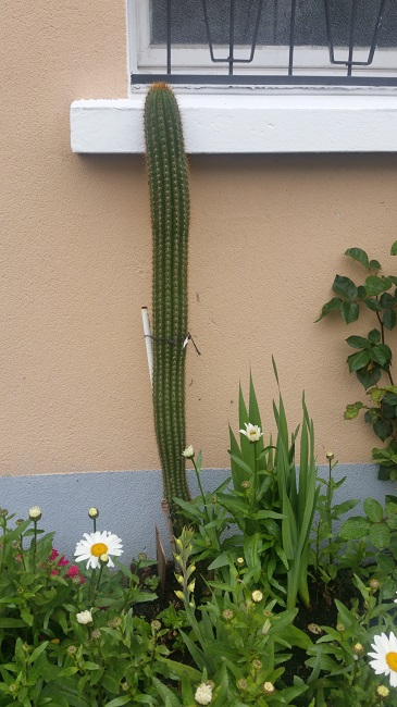 20160513_094818.jpg