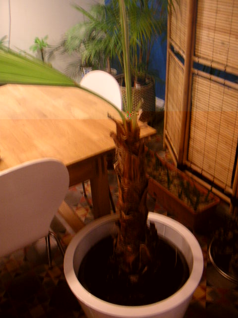 PICT0327.JPG