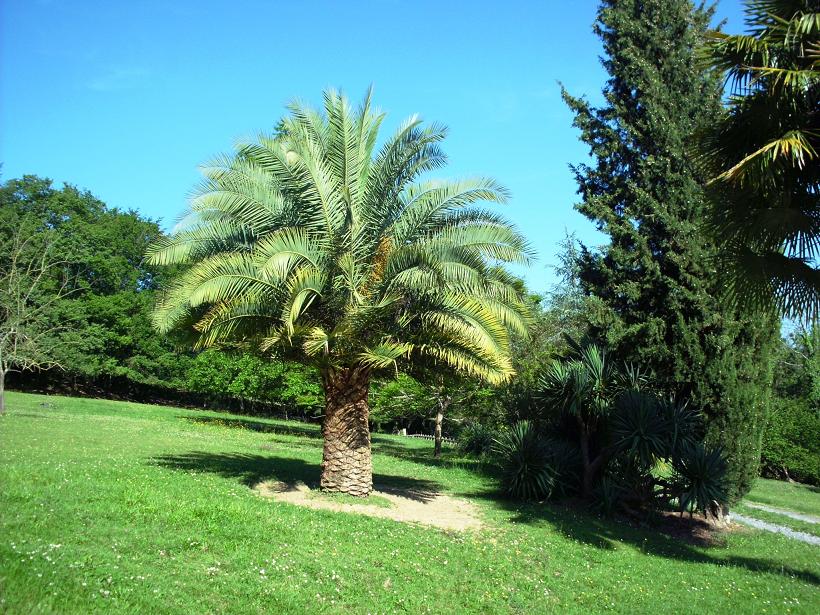 HPIM2263-1.JPG