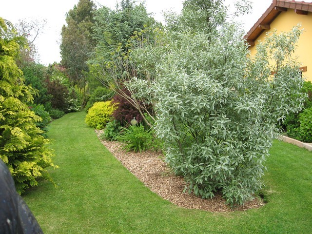 vue d'ensemble du jardin