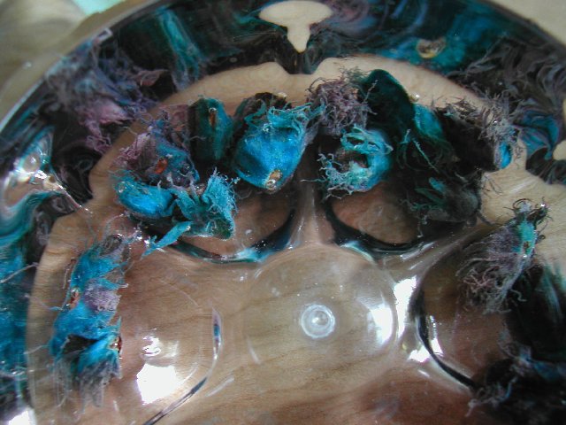 DSCN3229_ravena.jpg